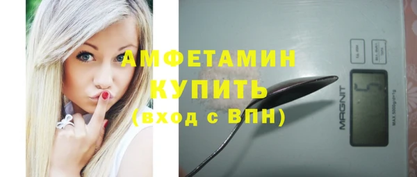 Альфа ПВП Горняк